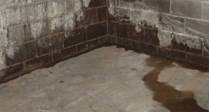 wet basement 